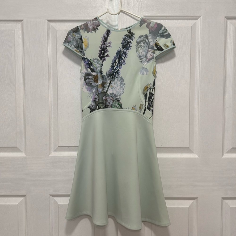 Ted Baker Faythe Torchlit Skater Dress